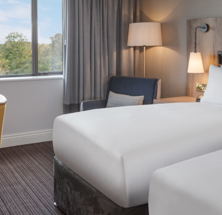 DELUXE TWIN ROOM