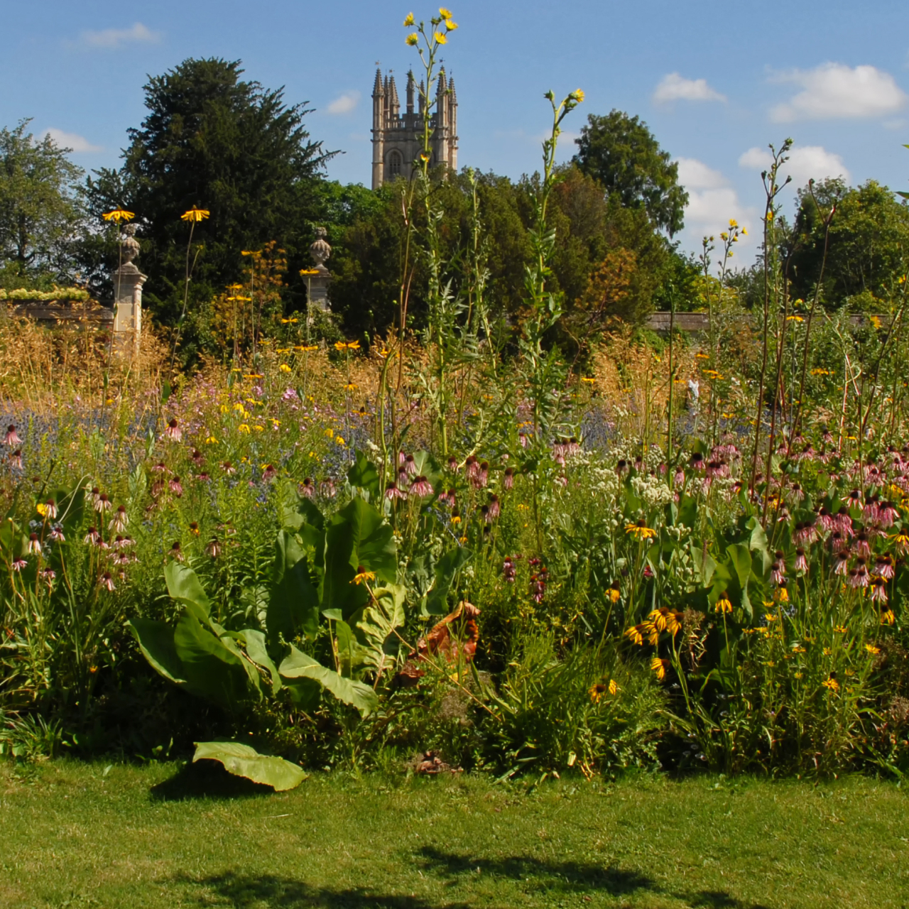 Oxford Botanic Garden 5050