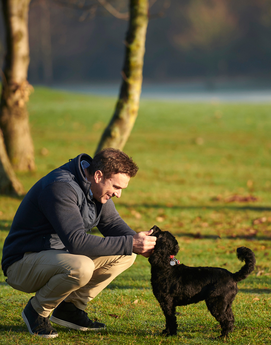 Oxford Dogfriendly Crosssell Desktop 1