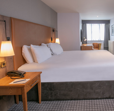 DELUXE KING ROOM